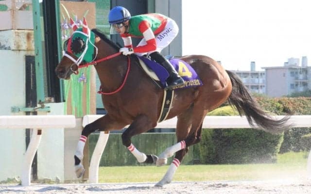 コリアスプリント（G3）・コリアカップ（G3）の結果