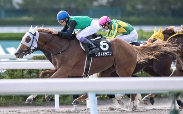 【西日本スポーツ杯】武豊 クリノドラゴンがオープン入り