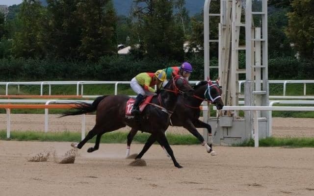 【韓国国際競走レース後コメント】コリアスプリントに出走したラプタス幸英明騎手、コリアカップに出走したセキフウ藤岡康太騎手