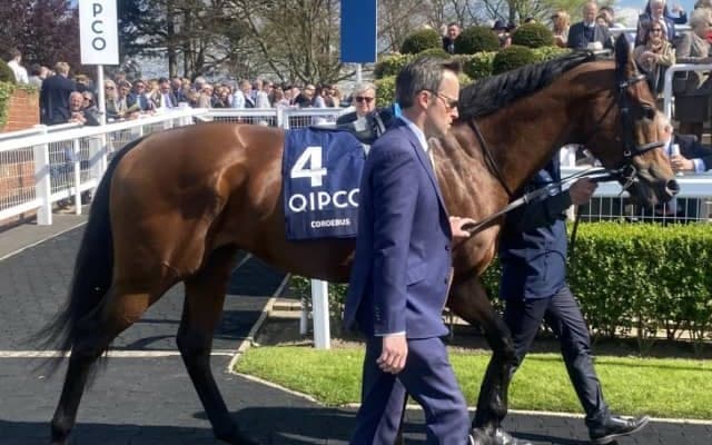 3歳馬コロエバスが予後不良に　イギリスでマイルG1を2勝