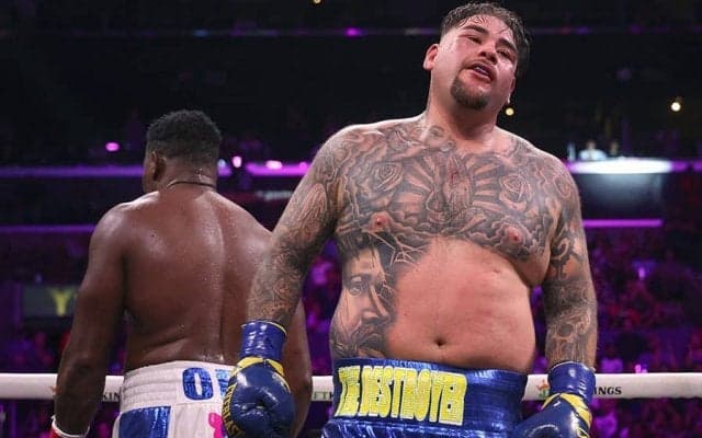 121kg巨漢ルイス、元暫定王者を3度ダウン奪取で撃破　米興奮「電光石火のカウンター」