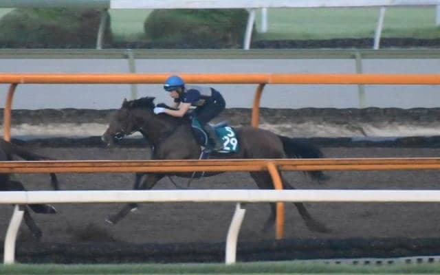 2021年セレクトセール1歳にて3億円で落札されたオープンファイアがデビュー/関西馬メイクデビュー情報