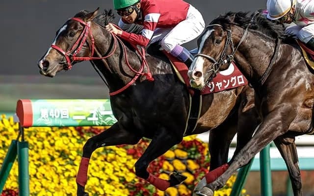 【AI予想・セントウルS】牝馬「2強崩し」に現実味!? メイケイエール、ソングラインではない本命候補