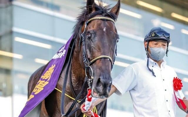 距離を戻して2つめの重賞獲得　天皇賞・秋も楽しみなカラテの血統