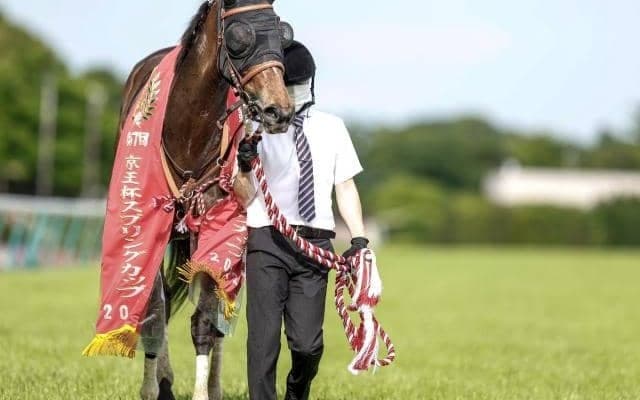 【セントウルS予想オッズ】メイケイエールが予想1番人気