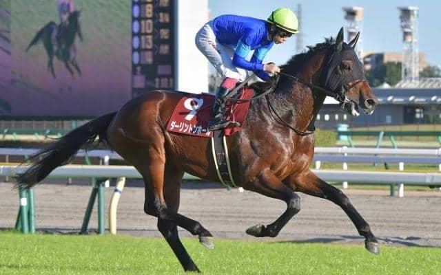 【京成杯AH予想オッズ】ダーリントンホールが予想1番人気