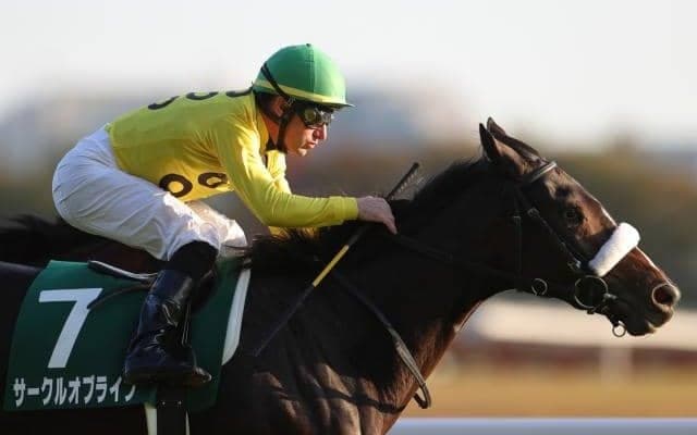 【紫苑S予想オッズ】サークルオブライフが予想1番人気