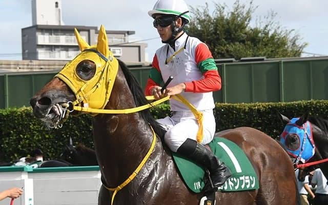 大出遅れから直線ごぼう抜きで重賞制覇！ 『大器』の産駒は京王杯2歳Sを目標に