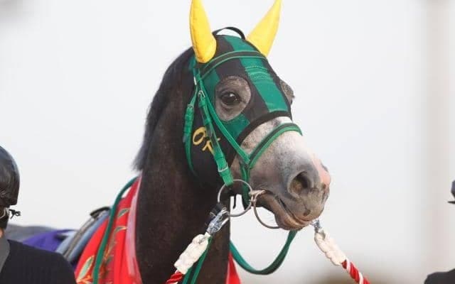 【大井・東京記念注目馬】伝統の2400m戦　1着賞金3200万を懸け15頭の長距離巧者が覇を競う