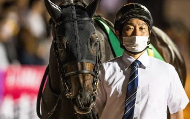 ソリストサンダーは吉田隼人騎手とのコンビでマイルCS南部杯へ　かしわ記念2年連続2着などダート路線で活躍中