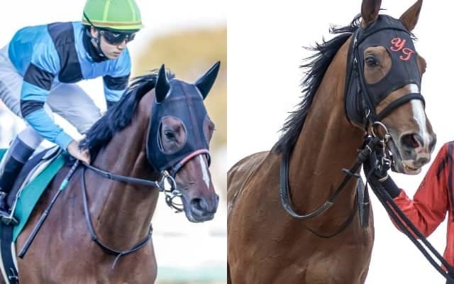 オニャンコポンなど牡馬クラシックを賑わせる実績馬が参戦予定/セントライト記念出走想定馬