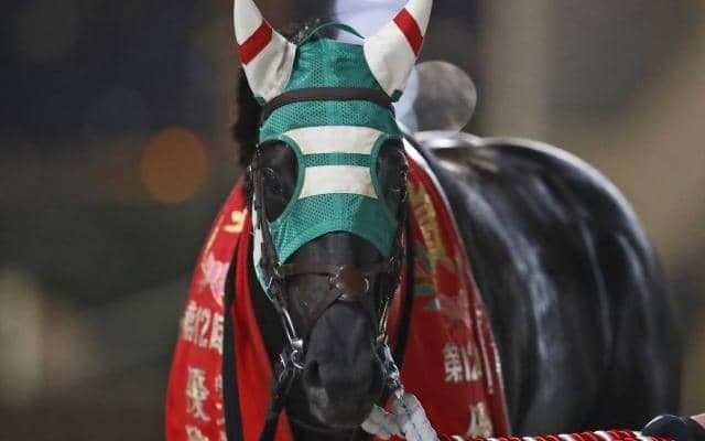 【大井・アフター5スター賞注目馬】10連勝中の上がり馬と重賞実績馬が激突　少数精鋭の豪華メンバー集う