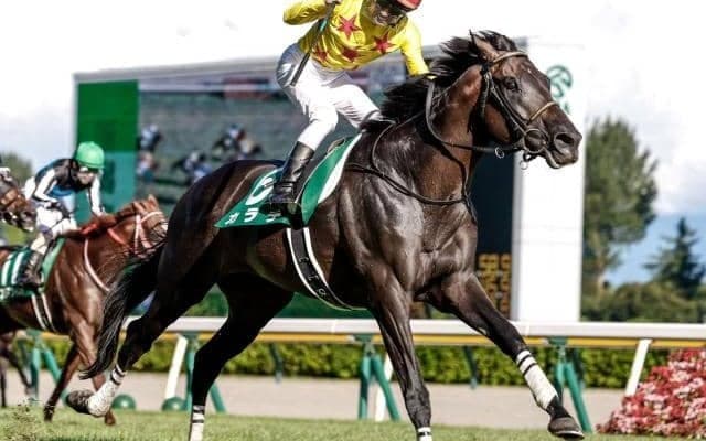 【次走】カラテは天皇賞・秋へ 毎日王冠を挟むかは未定