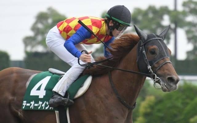 【次走】テーオーケインズはJBCクラシックかチャンピオンズCを視野に