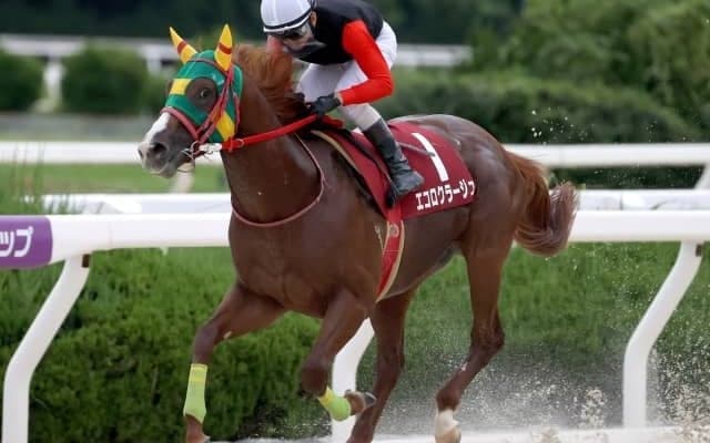 【園田オータムT結果】エコロクラージュがデビュー無傷の6連勝で重賞初V