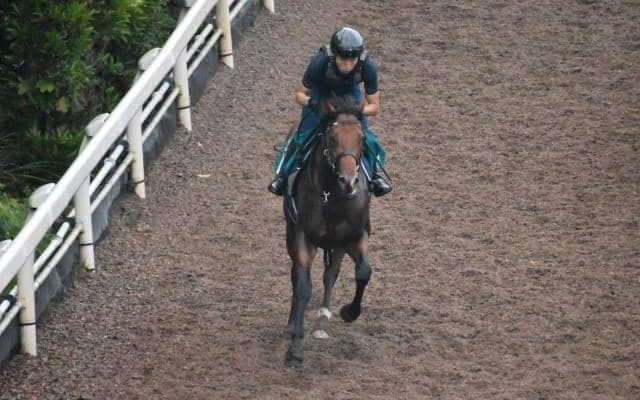 【JRA新馬戦】スマートレイアーの初仔スマートジェイナなどがデビュー