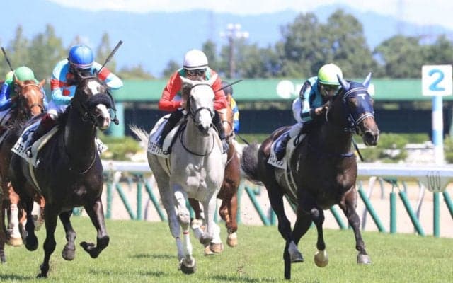 【新馬/新潟5R】エピファネイア産駒 テンカノギジンがデビューV