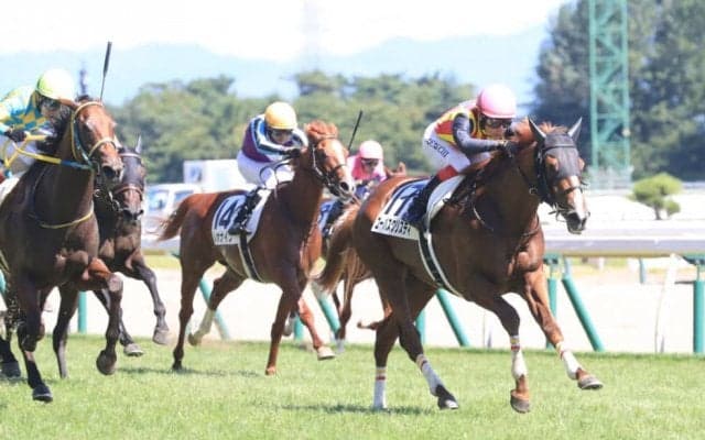 【新馬/新潟6R】エピファネイア産駒 コーパスクリスティがデビューV