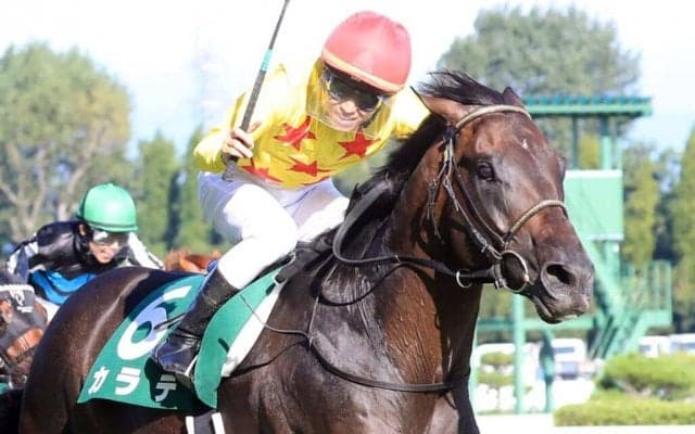 【新潟記念】菅原明「思い入れがある馬」カラテが重賞2勝目