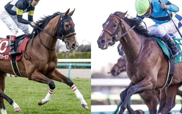 オニャンコポンは菅原明良騎手、アスクビクターモアは田辺裕信騎手が騎乗予定/セントライト記念出走想定馬