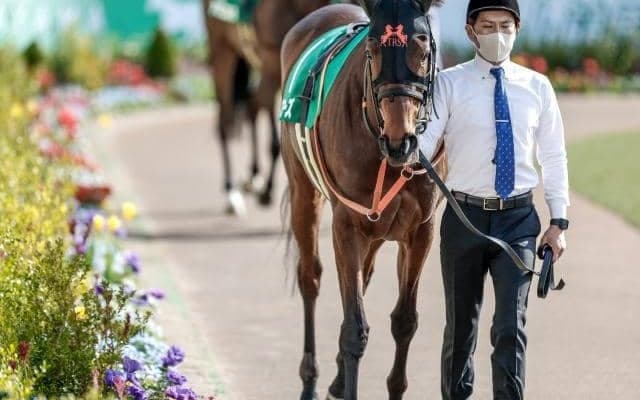 【今日の注目ポイント】中山・中京開催がスタート　重賞は秋華賞トライアル・紫苑S