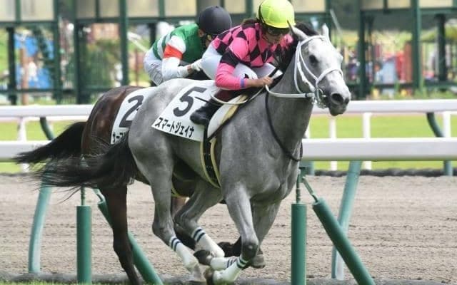 【中京5R新馬戦結果】スマートレイアーの初仔スマートジェイナが快勝