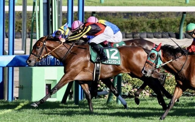 【紫苑S】スタニングローズが復帰戦を制する