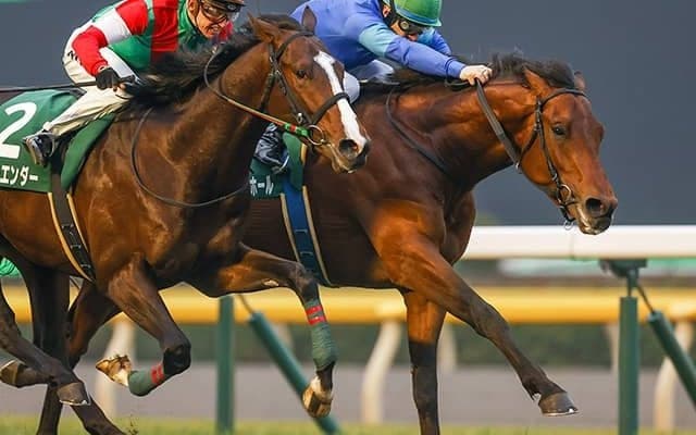 【京成杯オータムH予想】昨年も大波乱！ 距離短縮で復調も「あの人気馬」の目標はまだ先？