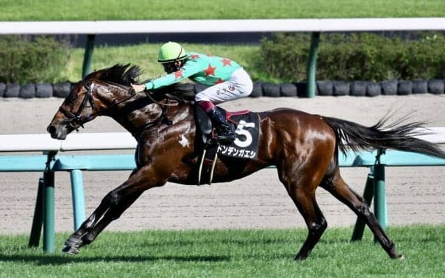 【アスター賞】ドンデンガエシが連勝！シテイタイケツは末脚不発に