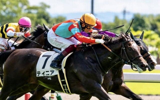 【新馬/中京3R】フランケル産駒 ティニアがデビューVを飾った