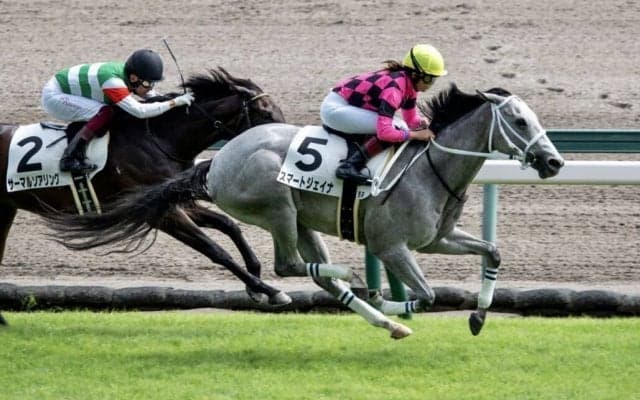 【新馬/中京5R】今村聖奈がスマートジェイナで新馬V