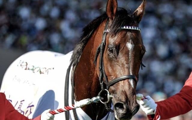 【今日の注目ポイント】重賞はセントウルSと京成杯AH　深夜には凱旋門賞の前哨戦も