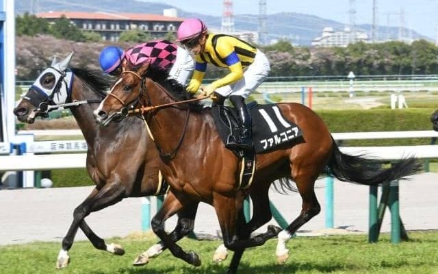 【京成杯オータムH予想】人気馬・トップハンデ馬共に苦戦傾向続くサマーマイルシリーズ最終戦