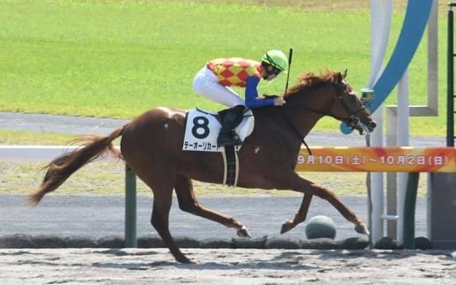 【中京4R新馬戦結果】6番人気テーオーリカードが抜け出してデビューV