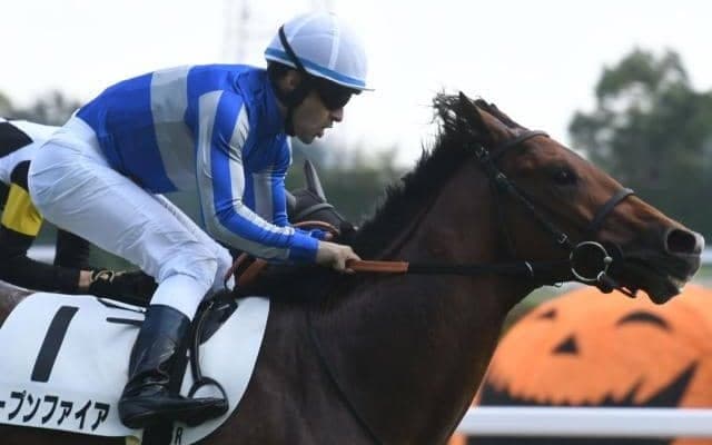 【中京5R新馬戦結果】ディープ産駒の最終世代オープンファイアが鋭く差し切りV