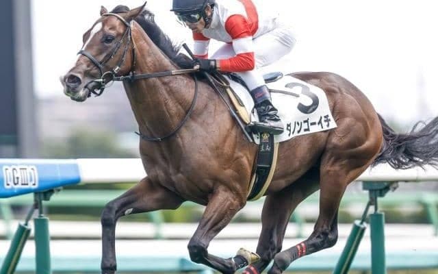 【中山5R新馬戦結果】ダノンゴーイチが危なげなく差し切る