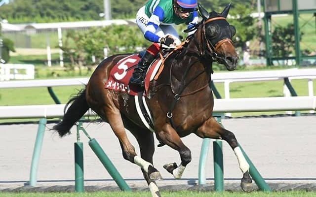【セントウルS結果】メイケイエールがレコードで重賞6勝目　スプリンターズSへ向け好発進
