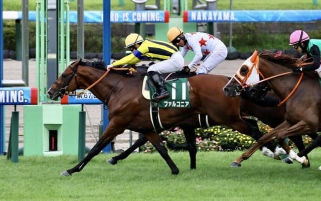 【京成杯AH】ファルコニアが混戦から抜け出す