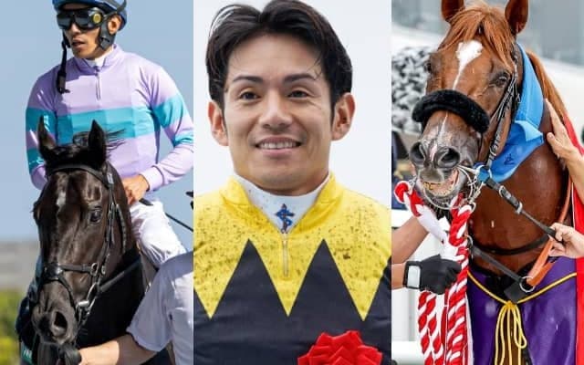 今年のサマーシリーズ各部門の王者が決定