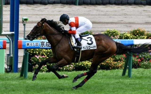 【新馬/中山5R】イスラボニータ産駒 ダノンゴーイチがデビューV