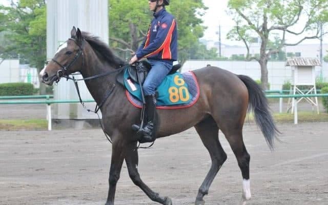 祖母はGI2勝ダンスインザムード ヒップホップソウルが松山弘平騎手でデビュー/関東馬メイクデビュー情報