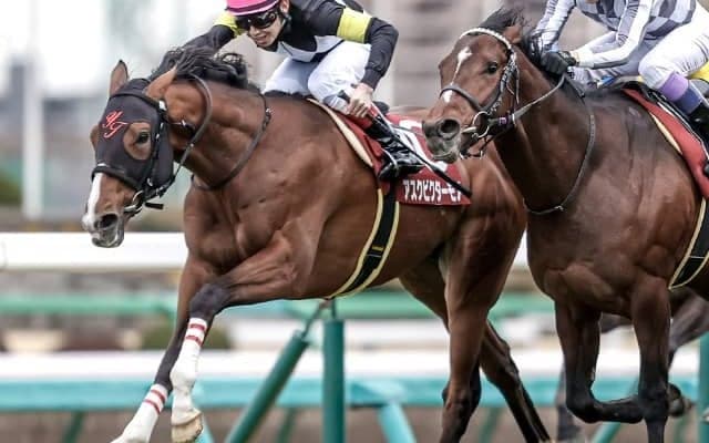 【AI予想・セントライト記念】実績馬VS上がり馬！ 人工知能が導き出した現時点での答えは…