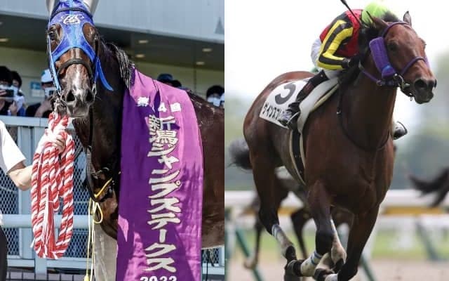 GI級競走を9勝した名馬の弟が重賞初挑戦 阪神ジャンプSの想定騎手