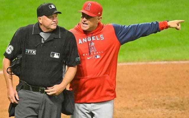 【MLB】大谷翔平出場試合で両監督が退場　エ軍ネビン代行は憤慨「理解できない」