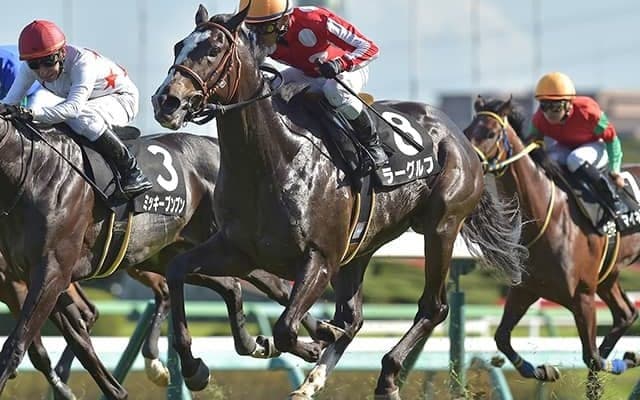 【セントライト記念展望】東の菊花賞トライアル、馬格のある馬が優勢