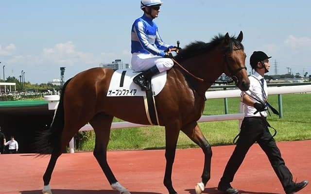 衝撃の追込で初陣V ディープ最終世代の3億円馬は放牧へ