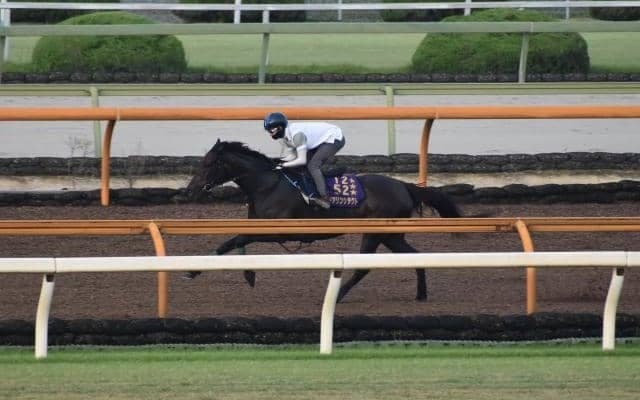 デアリングタクト、オールカマー1週前追い切り速報/栗東トレセンニュース