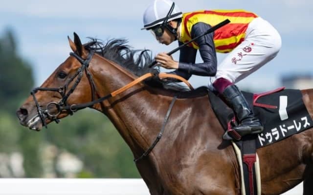 近親にディープインパクトなどがいる良血馬が3歳クラシック最終戦に参戦予定