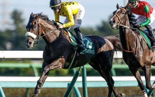 昨年の2歳女王サークルオブライフは牝馬三冠最終戦への参戦を慎重に判断