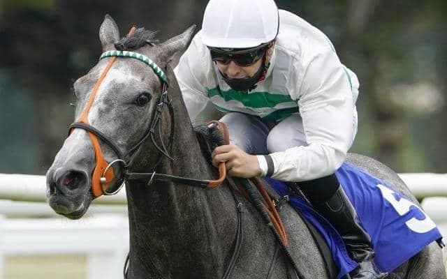 【凱旋門賞】前哨戦の結果を振り返る/バーデン大賞